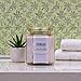 Lavender Scented Blended Soy Candle | Relaxing Lavender Fragrance | Hand Poured in The USA by Just Makes Scents