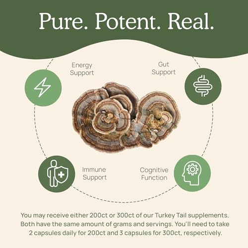 Real Mushrooms Turkey Tail Capsules – Organic Mushroom Extract for Daily Wellness, Gut Harmony, Energy Support – Vegan, Non-GMO, No Fillers – Turkey Tail Extract 200 Count Mushroom Supplement - Image 5