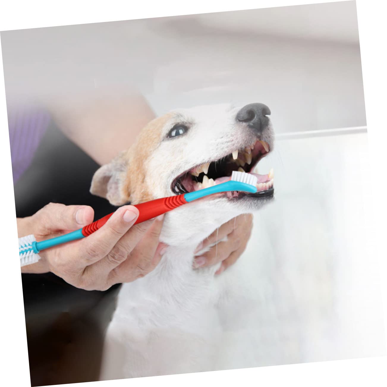 BESPORTBLE 4-Pack Dog Toothbrush Set Plaque for Dog's Pet Oral Cleaning Brush Professional Pet Toothbrush Pen
