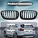 Front Bumper Grille for 2007-2013 BMW X5 E70 2008-2014 BMW X6 E71 Replacement Front Radiator Grill, ABS Upper Hood Hollow Grille Part Car Radiator Guard