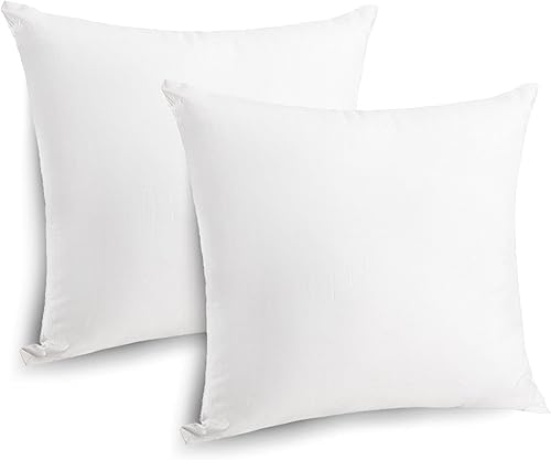 CRAFTSWORTH Juego de 2 rellenos de almohada de 12 x 20 pulgadas, inserto para fundas de almohada, rellenos de almohada, almohadas de cama y sofá,