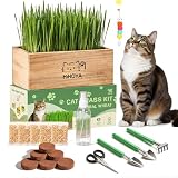 Cat Grass Kit for Indoor Cats - 5 Harvests Cat grass Growing Kit with Wooden Planter, 5 Seed Packets, 6 Soil Disks, Spray Bottle, Tools & Scissors - Natural Hairball Control for Nipping & Nibbling