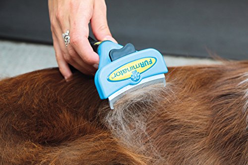 FURminator FURflex, Fellpflegebürste für mittelgroße Hunde, deShedding-Aufsatz zur Entfernung der Unterwolle, Größe M