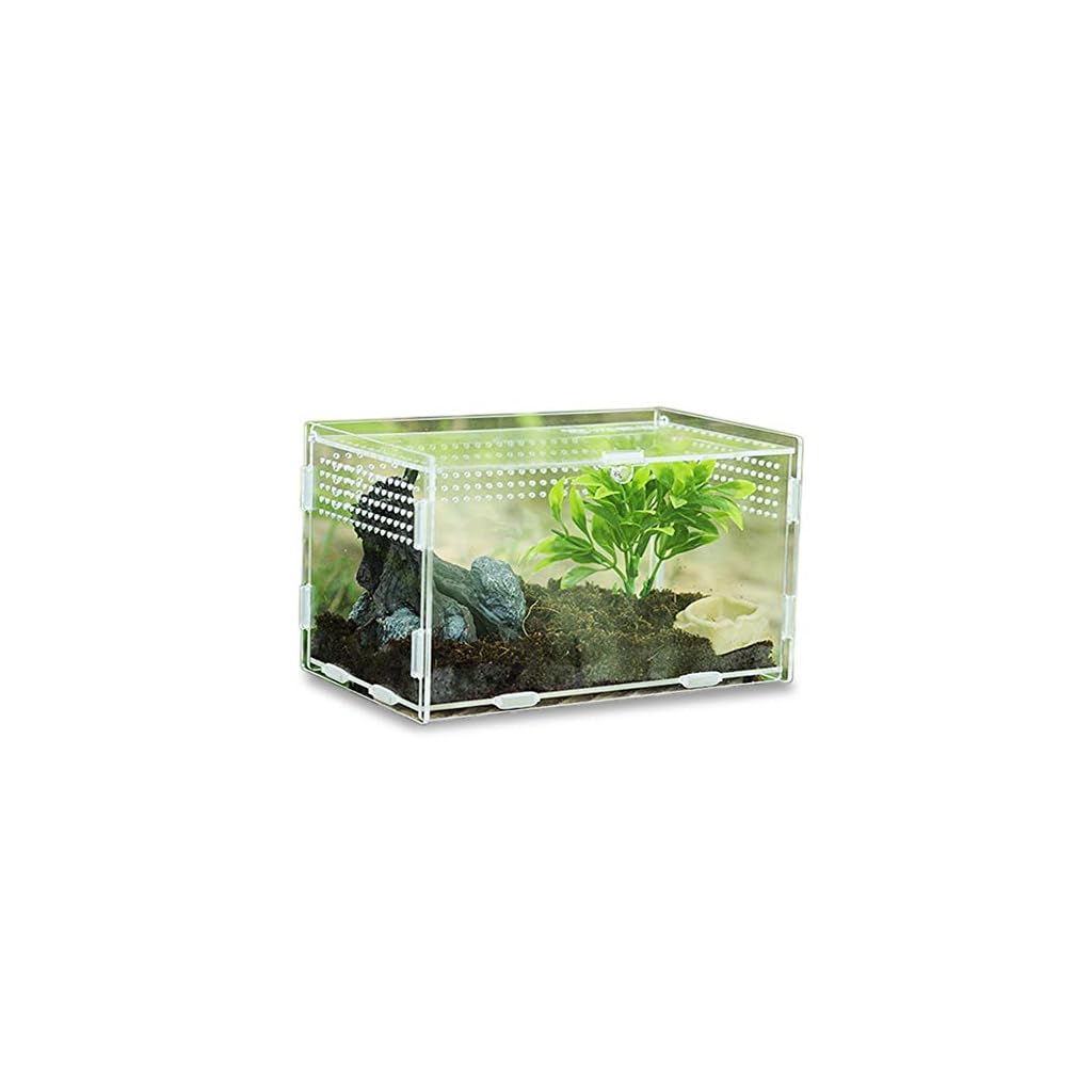 Keweni Boîte d&rsquo;alimentation D&rsquo;insectes, Contenants de Terrarium en Acrylique pour Scorpion Grenouille, Habitat de Reptile pour Animaux de Compagnie Rampant Portable, Conception Anti-évasion