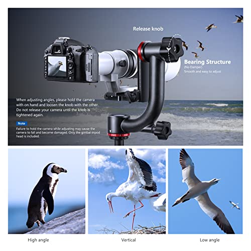 Gimbal für DSLR Kameras von Neewer GM100 Professionell und leistungsstark