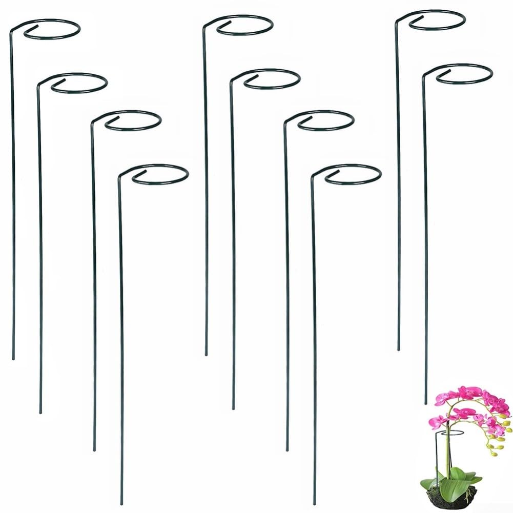 Support en spirale pour plantes grimpantes, 40 cm, petit piquet de jardin pour plantes grimpantes, support d'escalade pour fleurs, tomates, vignes, culture intérieure et extérieure (B)