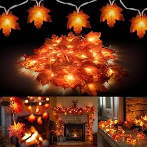 Dazzle Bright Thanksgiving 20 LED B...