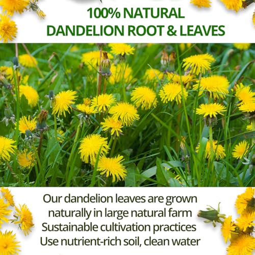 Image of VIDA FARM 125 Dandelion Tea Bags - 100% Natural Dandelion Leaf & Root, Sugar Free, Caffeine Free, Non-GMO - Premium Dandelion Root Herbal Tea, Smooth Taste | 100% Natural Dandelion Leaf & Root, Sugar Free, Caffeine Free, Non-GMO - Premium Dandelion Root Herbal Tea, Smooth Taste