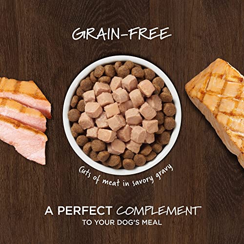 Nature's Variety Instinct Healthy Cravings Grain Free Real Salmon Recipe Natural Wet Dog Food Topper, 3 Oz. Pouches (Case Of 24) #TOP2