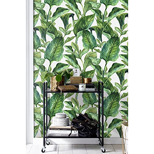 Papier peint feuilles tropicales deco murale 104x70cm pour relooker salon et cuisine