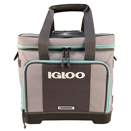 Igloo Stout Divided Marine Cooler-Gray/Seafoam, Grey