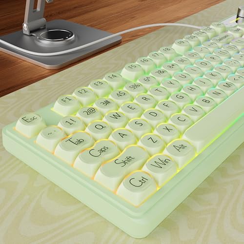 EWEADN V102 Wired Keyboard, 98 Keys Creamy Gaming Keyboard with Number Pad, Display Screen & Media Knob RGB Silent Wired Cute Computer Keyboard for Laptop PC Gamer - Green