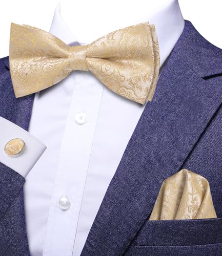 Image of Hi-Tie Men Champagne Paisley Pre-tied Bowties and Tie Set Necktie Bow Tie Pocket Square Cufflinks Lapel Pin 5Pcs Set Tuxedo Suit