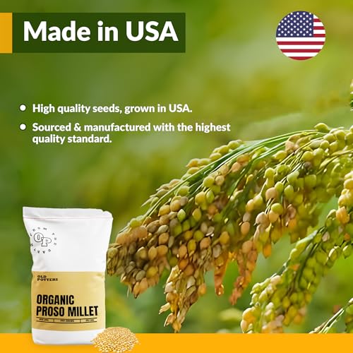 Old Potters Wildlife White Millet for Bird Feeding and Wildlife Bird attracting, Non-GMO and USA Grown, 25 lbs - Thumbnail 3