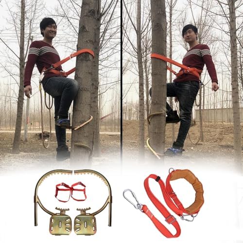 Adjustable Carbon Steel Tree Climbing Spikes - 1 Pair Climbing Gear for Fruit Picking, Coconut Harvesting, and Wooden Pole Climbing - Supports Up to 330lbs (9.8")