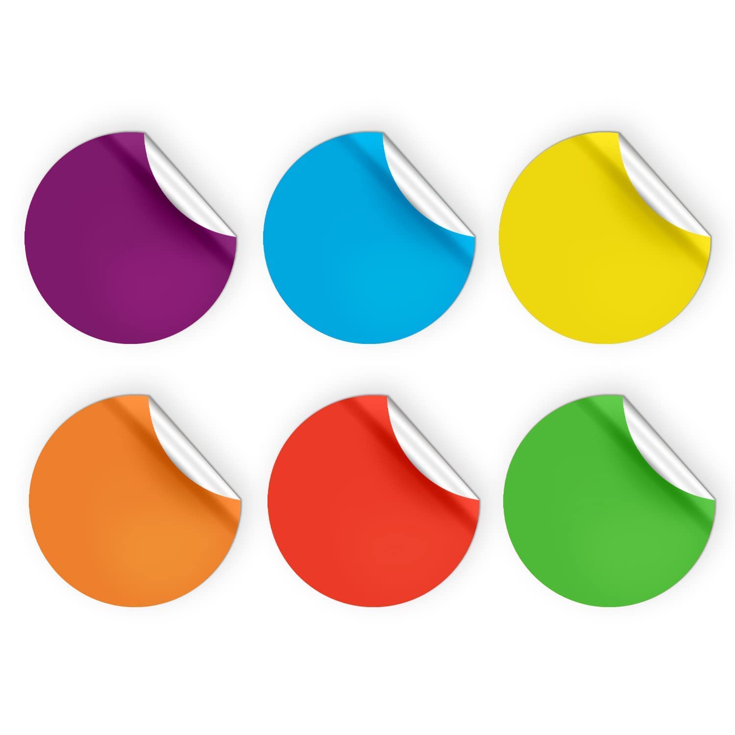 Buy BENO 30 Pieces 6 Inch Classroom Multicolor Erase Floor Dots