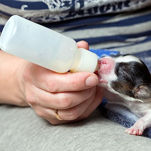 Aufzuchtflasche Haustier Hund Katze Kapsel Tablette Pillendose Druckknopf Pillendose Spritze Fütterung Gerät Sauger Nippel Feeder