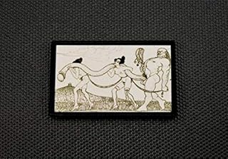 BritKitUSA Long Dong Sublimated Dye Printed Morale Patch Hook & Loop Backing