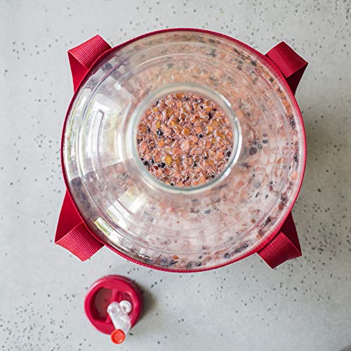 Browin 401400 Pektinase, Antigeliermittel flüssig mehr Saftausbeute Weinherstellung, Antigeliermittel 10ml