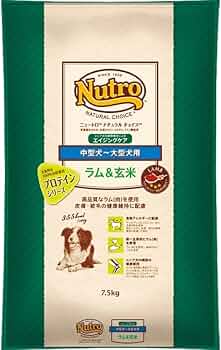 51eXDo3qqYL._AC_UF350,