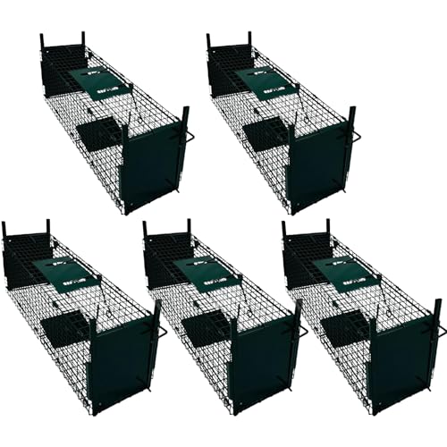 Paladian - Juego de 5 trampas para animales (60 cm, acero para ratones, ratas y otros roedores, tamaño plegable, económico y reutilizable, para uso interior y exterior, 60 x 18 x 20 cm, marca francesa