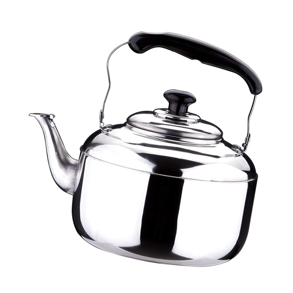 LOVIVER Bouilloires à Thé Whistlings - Bouilloires à Inductions électriques Au Gaz Résistant Rouille, 5L