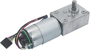 5840-3650 High Torque DC 12 Volt 24 Volt Mikro-Elektromotor, bürstenloser Motor, Schneckengetriebemotor, 1 Stück(12rpm,24V 5840-3650 High Torque DC 12 Volt 24 Volt Mikro-Elektromotor, bürstenloser Motor, Schneckengetriebemotor, 1 Stück(12rpm,24V