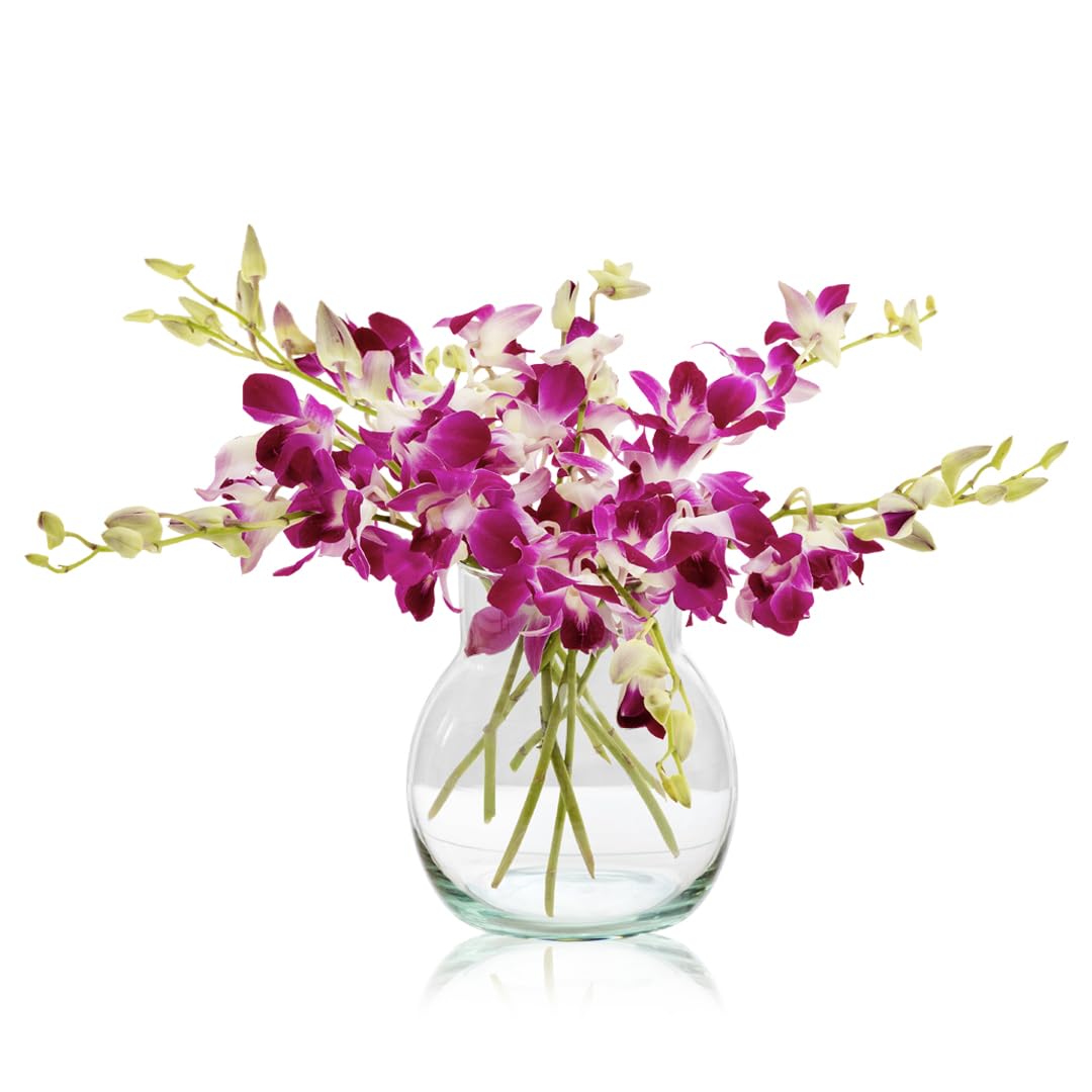 Fresh Singapore Dendrobium Orchids Bouquet - 10 Beautiful Stems for a Touch of Eastern Charm - 14-Day Freshness Guarantee - Perfect for Birthdays, Anniversaries & Special Occasions
