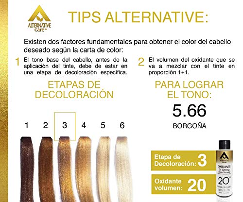 Coloración, Beauty borgoña tinte koleston Marca Alternative Care (3)