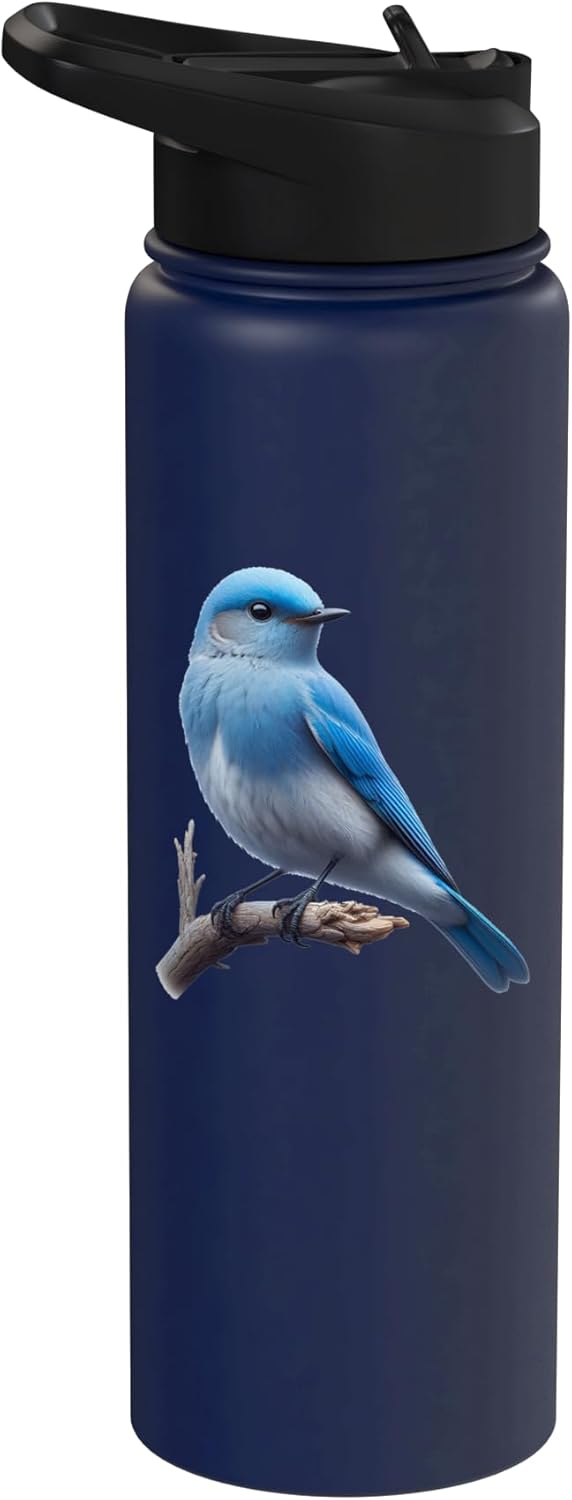 Bird Series. Mountain Bluebird. Stainless Steel Insulated Water Bottle