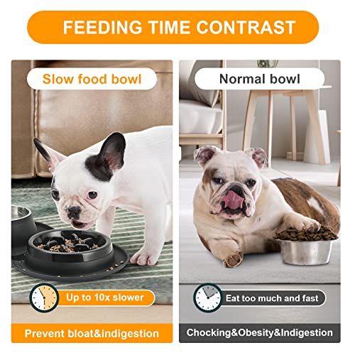 Dog Water Food Bowls (5-In-1) Slow Feeder Stainless Steel Dishes With Non-Slip Silicone Feeding Mat, Raised Edges For No Spills, Pet Bowls For Puppy Medium Dogs Cats (Black) #TOP2