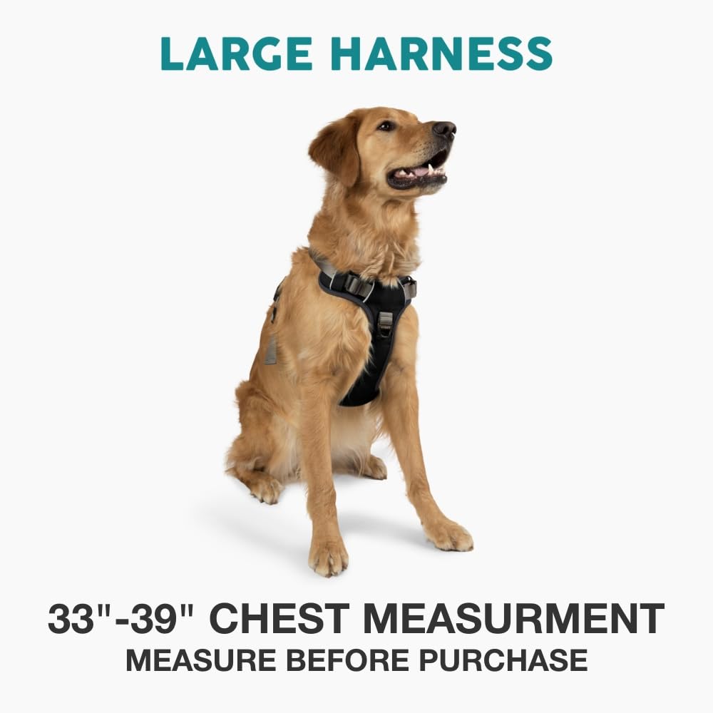 Amazon | Embark Pets（エンバークペット）犬用ハーネス