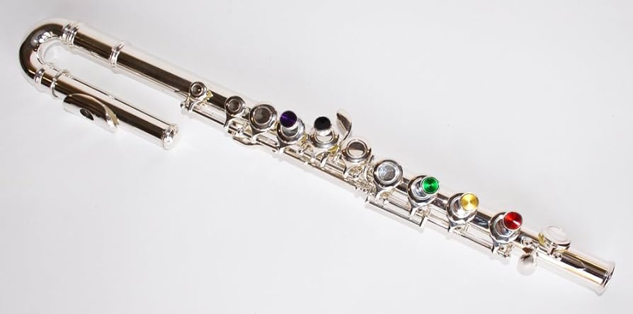 Cherrystone 0754235504696 Kinder C Querflöte (gebogenes