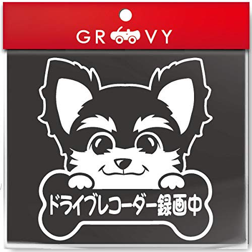 hCuR[_[^撆 [NV[eA  XebJ[ ^] S^] 댯^] ΍ h ԗp V[_1062 (zCg)