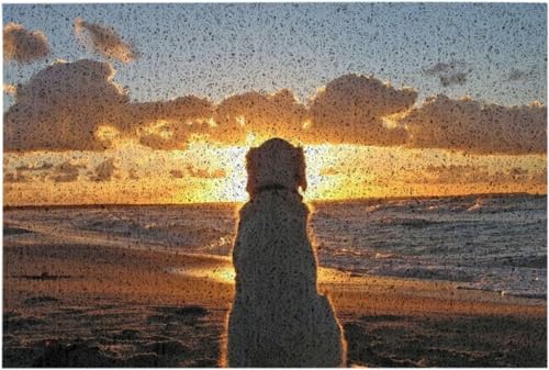 J[ybg փ}bg tA}bg r[` C  ~ Ɩp n }bg Vv DƂ z E ʏ}bg  ւ܂ ׂ~ ϖՐ hL 40x60cm