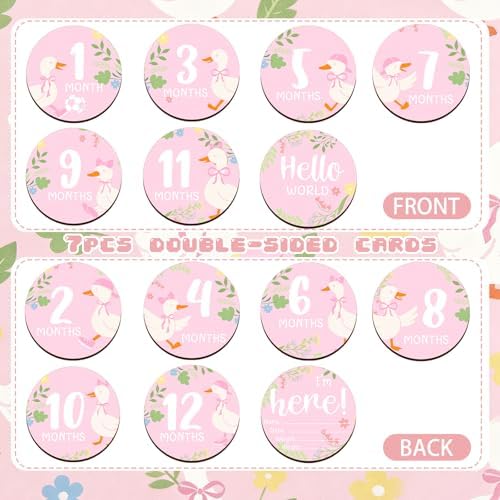Novabright 7 Pack One Silly Goose Baby Shower Monthly Milestone Cards Signs Baby Announcement Sign Name Hello World Newborn Signs Wooden Double Sided for Welcome Newborn Shower Boy Girl Photo Props — 사진 4