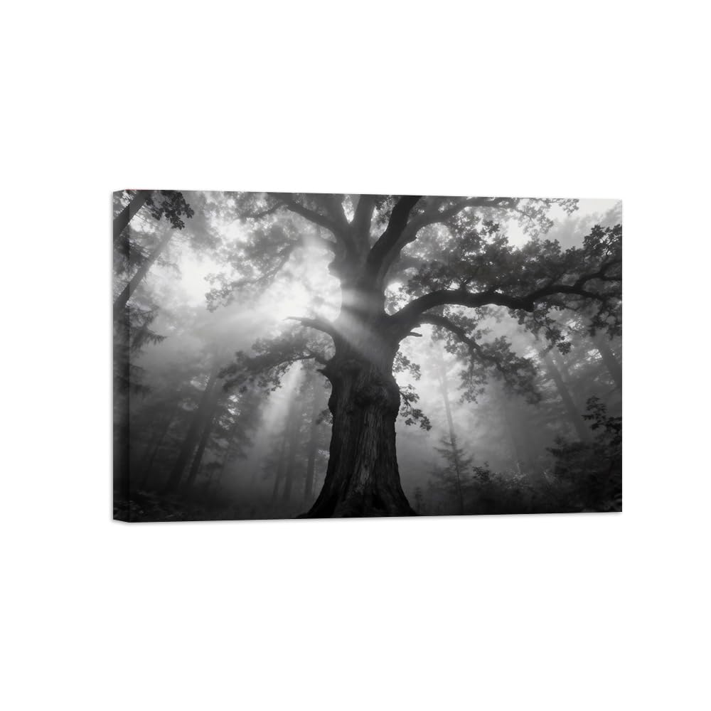 OZPWBVY Black and White Landscape Print Painting-Tree Sunshine 2-Minimalist Canvas Wall Art Picture for Home Ready to Hang 12x18in 30x45cm Wrapped Canvas
