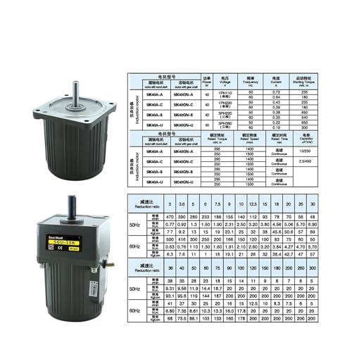 Moteur à courant alternatif 220V 40W à induction régulation 0-140rpm