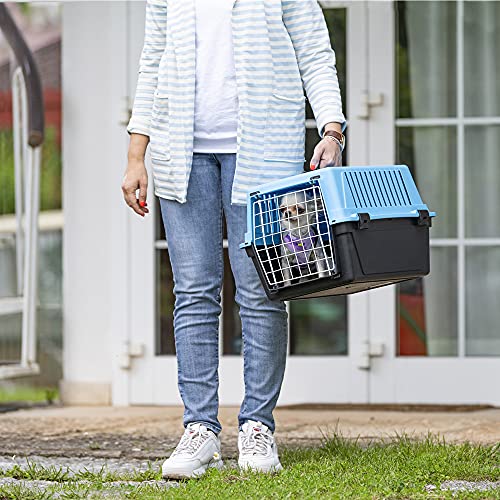 Ferplast Transportbox Katze, Hundetransportbox kleine Hunde und Katzen bis 5 kg, Tür aus plastifiziertem Eisen, Lüftungsschlitze, 32,5x48xH 29 cm, Hartschalen Transportbehälter Atlas 10 EL, Hellblau