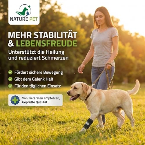 Medium Vorderlauf Bandage für Hunde, Karpal Gelenk- & Knochenschutz für Hunde - geeignet für leichte Gelenkinstabilitaeten - leichte Bänderdehnungen - Leckschutz und Verbandschutz nach OP (M)
