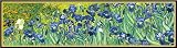 Dimensean Stamped Cross Stitch Kits Full Range of Embroidery Patterns Starter Kits for Beginners Adu
