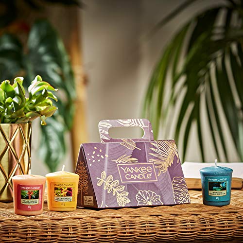 Yankee Candle The Last Paradise Votive Candles