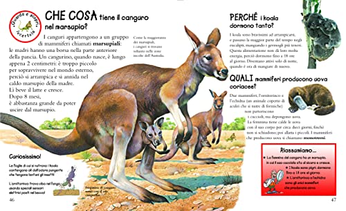 Gli Animali. Domande E Risposte. Ediz. Illustrata - 3