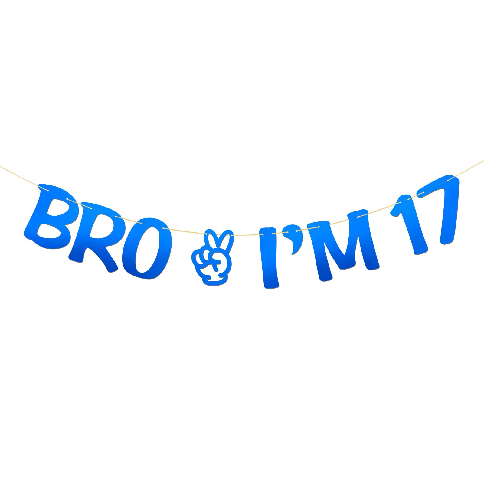 Brother I'm 17 Banner - Boy 17th Birthday Party Supplies - Seventeen Years Old - Big Brother 17th Birthday Party Decoration - Mirror Blue