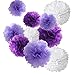 18pcs Tissue Hanging Paper Pom-poms, Hmxpls Flower Ball Wedding Party Outdoor Decoration Premium Tissue Paper Pom Pom Flowers Craft Kit (Purple & White, 8