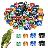 nbeads 80 Pcs 4 Tailles Bague pour Patte D'Oiseau Ouverte, Bagues de Patte en Alliage avec Numéro de Série pour Perroquets Hibiscus Pivoines Pigeons Cailles Étiquettes de Dressage