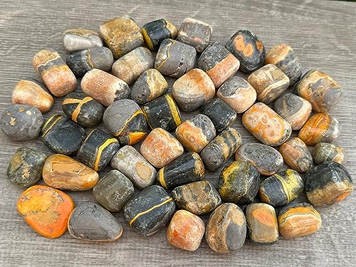 Image of 1 /2 LB Bumble Bee Jasper Tumbled Stones, Polished Bumble Bee Jasper Gemstone, Bumble Bee Jasper Healing Crystals (Bumble Bee Jasper)