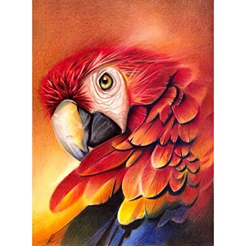 Pittura Diamanti 5D Fai Da Te Corona Pappagallo 15x15 Cm - Kit Completo Con Ciondolo E Catena Per Principianti - Attività Rilassante Antistress