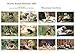Hunde Rezept-Kalender 2020