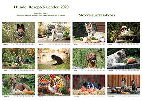 Hunde Rezept-Kalender 2020